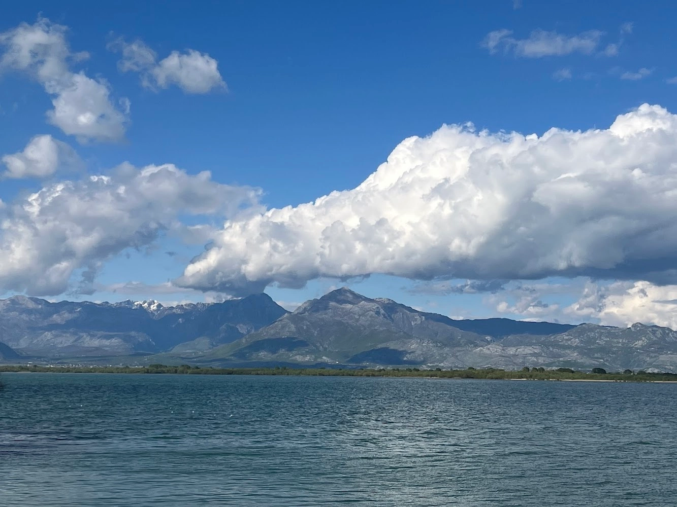 Shkodra Lake